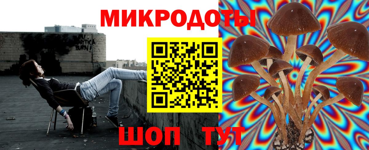 Псилоцибиновые грибы Psilocybine cubensis  Псилоцибиновые грибы Cubensis  Отрадное  Вход с VPN 